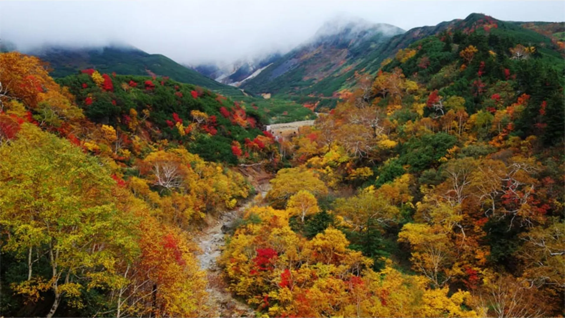 Furano Hops Hotel - Vacation Stay 41796V Kamifurano 0*,  Japonsko